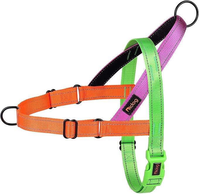 Didog No Pull Dog Harness with Soft Padded Handle, Quick Fit & Lightweight Adjustable Vest Harness, Easy for Training Walking for Small & Medium and Large Dogs(Green,S)