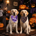 Halloween Dog Bandanas 2-Pack for Large to X-Large Dogs - Reversible Ghost Pumpkin Print Scarf - Brown & Black for Costume Parties