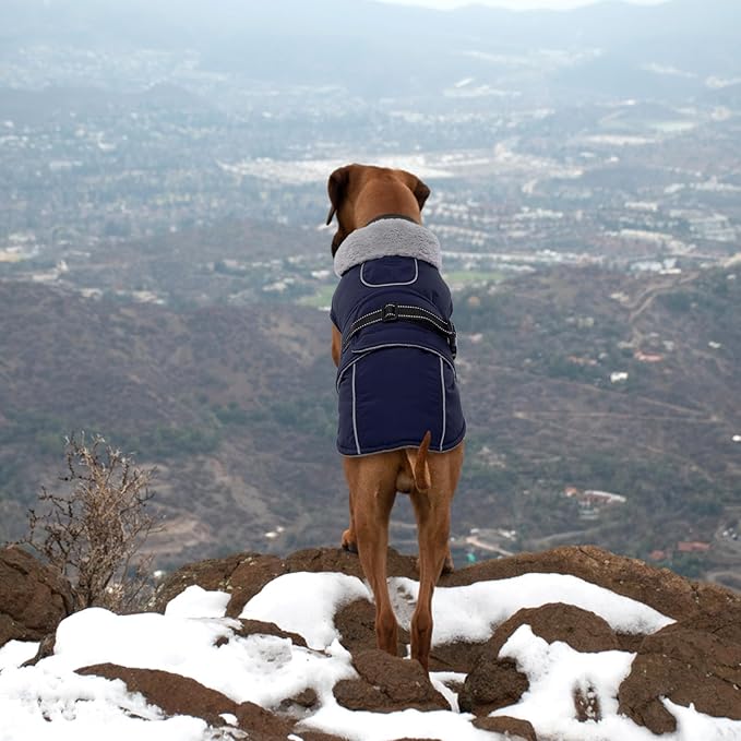Lelepet Warm Dog Coat Waterproof Dog Jacket for Large Dogs Reflective Fleece Vest with Adjustable Buckle Hook & Loop Windproof Cold Weather Coats for Small Medium Large Dogs, Navy Blue, XXL