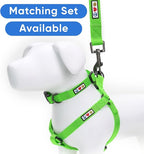 Pawtitas Solid Step-in Dog Harness – Adjustable No-Pull Vest for Puppies to Seniors, Safe & Comfortable S Green