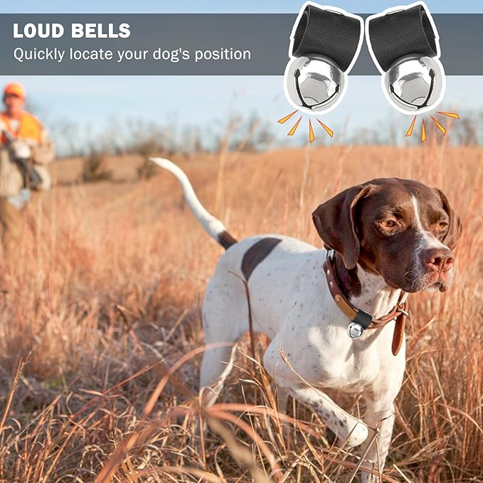 SCENEREAL Large Bell for Dog Collar, 2 Pack 1" Extra Loud Collar Bells for Cats and Dogs Training, Hiking, Walking, Hunting, Pet Tracker, Pet Bell for Save Wildlife and Birds Silver