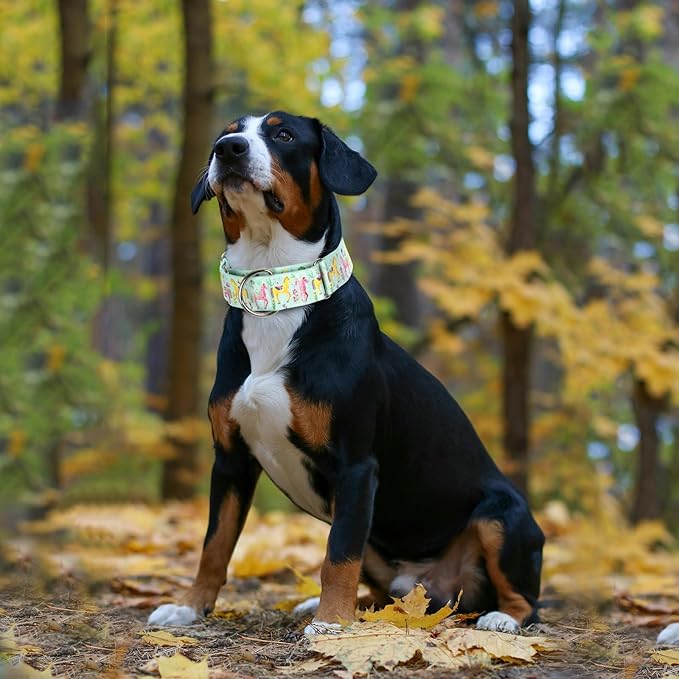 Thick & Wide Martingale Collar for Large Dogs - 1.5 Inch No Pull Escape Proof Dog Collar, Adjustable Comfort Training Collar(Medium)