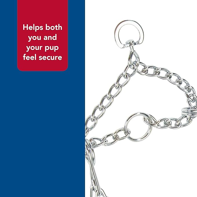 Coastal Pet Titan Dog Prong Training Collar - Rust-Resistant and Prong Metal Training Chain Collar for Dogs - Quality Supplies - 4 mm x 22"