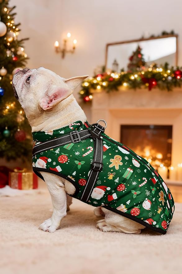 Aiboria Dog Jackets for Winter Windproof Waterproof Vest Fleece Warm Dogs Coat with Belt Christmas Green XL