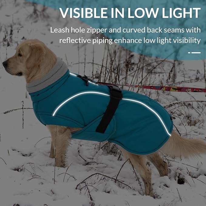 Queenmore Winter Dog Jacket, Waterproof Puffy Snowsuit, Adjustable Reflective Fleece Lining Warm Padding Parka for Cold Weather, Blue Large