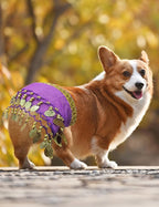Dog Belly Dancer Costume - Puppy Outfit with Sequin Waist Chain & Hip-Shaking Skirt - Ideal for Corgi and Puppy Birthday Parties or Halloween Celebrations(Small,Purple)