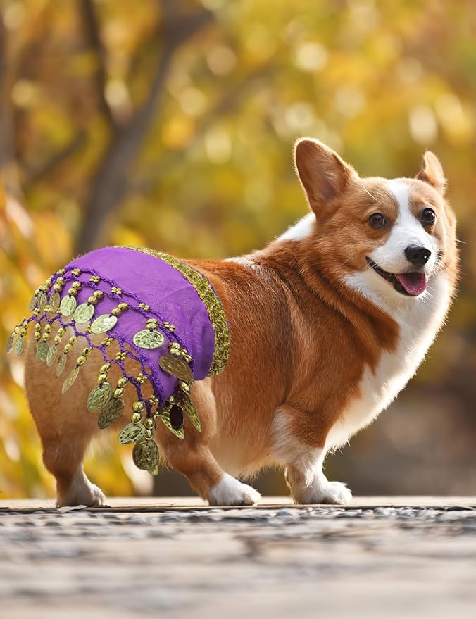 Dog Belly Dancer Costume - Puppy Outfit with Sequin Waist Chain & Hip-Shaking Skirt - Ideal for Corgi and Puppy Birthday Parties or Halloween Celebrations(Small,Purple)