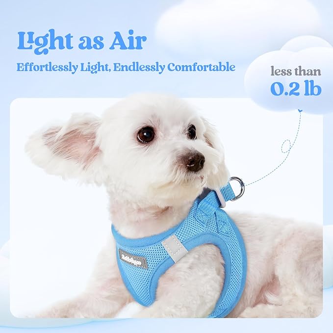 rabbitgoo Dog Harness Small Sized and Leash Set, Step in Soft Light Puppy Vest, Breathable Mesh Pet Harness, Reflective for Safe Easy Walking, Blue XXS
