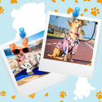 Weewooday 4 Pieces Small Pet Summer T-Shirts Hawaii Style Floral Pet Dog Shirt Breathable Cool Clothes Beach Seaside Puppy Sweatshirt for Puppy(Floral Style,Medium)