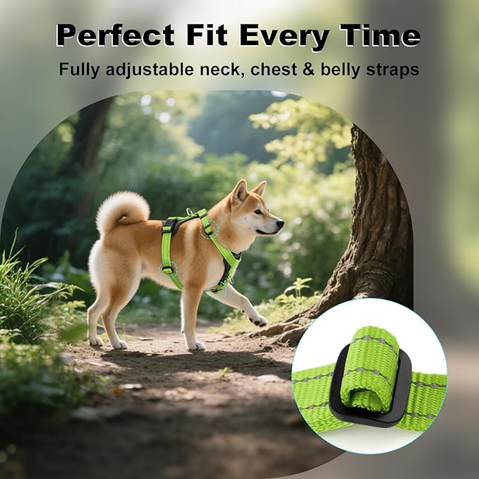 Plutus Pet Adjustable No Pull Dog Harness with Leather Accents, Heavy Duty Reflective Nylon Vest for Training, Hiking, Easy Walk Harness for Small, Medium, Large Dogs (Green, L)