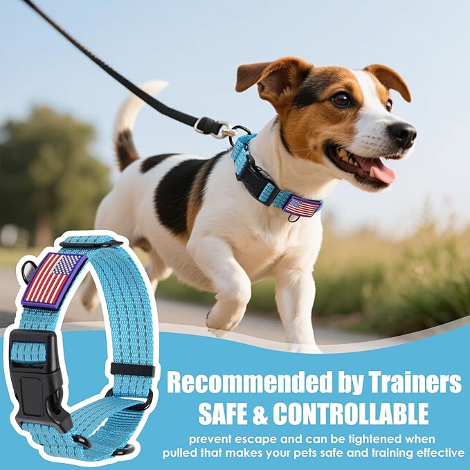 Martingale Collar for Dogs, Reflective Heavy Duty with Quick Release Nylon Buckle-USA Flag-No Pull Training Choker for Walking, Training, Sky Blue,L