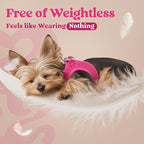 rabbitgoo Small Dog Harness, Step-in Soft Mesh Puppy Vest with Safety Buckle, Breathable Reflective Pet Harness for Extra Small Dogs, Rose Red XXS