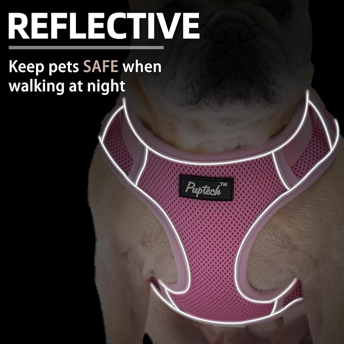 PUPTECK Small Dog Harness and Leash Set, No Pull Adjustable Puppy Cat Harness, Reflective Soft Mesh Pet Vest Small Sized, Pink, L