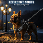 Tactical Dog Harness and Leash Set Medium Sized Dog,Heavy Duty No Pull Service Dog Vest and 10 Patches with Dog Seat Belt,Reflective Adjustable Pet Harness for Training Walking Hiking Black M