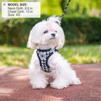 BEAUTYZOO Small Dog Harness and Leash Set,Step in No Choke No Pull Soft Mesh Dog Harnesses Reflective for Extra-Small Medium Puppy Dogs and Cats, Plaid Dog Vest Harness for XS S Pets, Black S