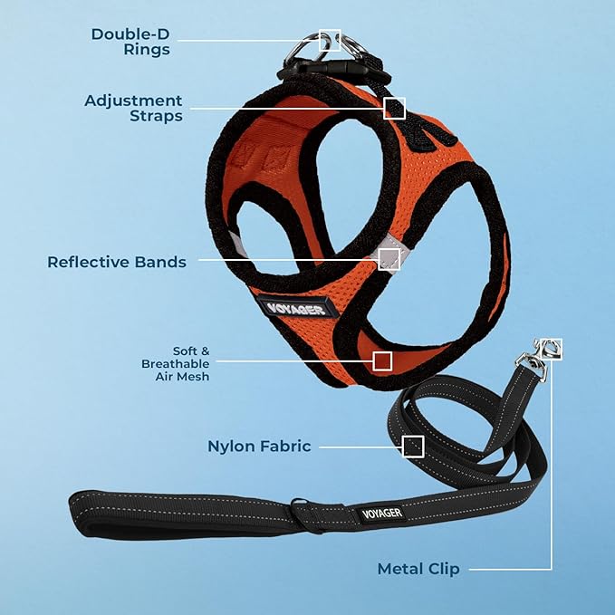 Best Pet Supplies Voyager Step-in Air All Weather Mesh Harness and Reflective Dog 5 ft Leash Combo with Neoprene Handle, for Small, Medium and Large Breed Puppies - Orange/Black Trim, X-Small