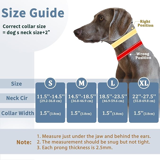 Mayerzon Martingale No Pull Collar for Medium Large Dogs, Patented Anti Pull Dog Collar with Buckle for Walking Training, with Neoprene Padding and Reflective Stitching, Adjustable(Purple Trim, L)