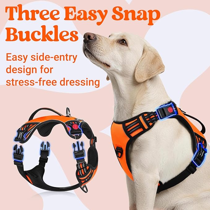 rabbitgoo Dog Harness for Large Dogs, No Pull Pet Harness with Soft Padded Handle, Adjustable Reflective Vest with 3 Buckles, Easy Walking Harness with 2 Leash Clips, Orange, L
