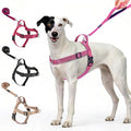 Annchwool No Pull Dog Harness with Front Clip and Easy Control Handle-Belly & Chest Adjustable Dog Harness and Leash Set for Medium Large Dogs-Heavy Duty Vest Harnesses Easy for Walking(Pink,M)