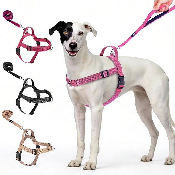 Annchwool No Pull Dog Harness with Front Clip and Easy Control Handle-Belly & Chest Adjustable Dog Harness and Leash Set for Medium Large Dogs-Heavy Duty Vest Harnesses Easy for Walking(Pink,M)