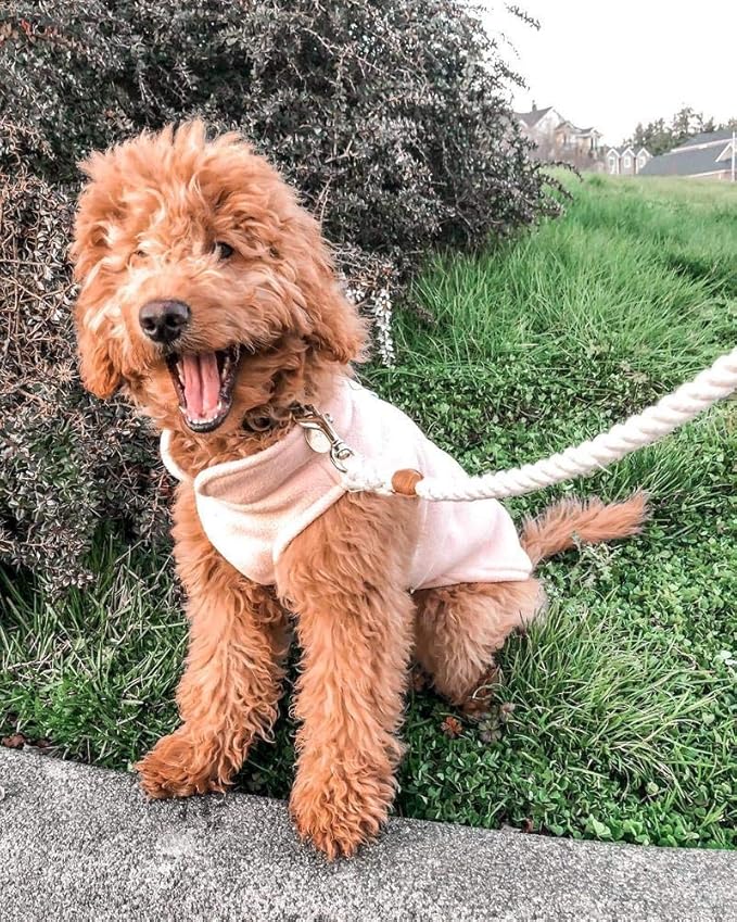 Gooby Fleece Vest Dog Sweater - Deep Blue, X-Large - Warm Pullover Fleece Dog Jacket with O-Ring Leash for Small to Medium Dogs