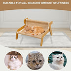 Cat Scratcher Couch | Cooling Training Lounger | Cat Scratcher Furniture | for Home Decor Enrichment Pet Supplies Playtime Indoor Kitten Training Nail Care