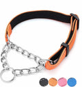 Martingale Dog Collar Wide 2.5CM(0.98inch) Reflective Nylon with Stainless Steel Chain Dog Collar Comfortable Soft S-(doginchs neck10-15inches)