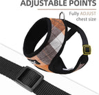 PUPTECK Soft Mesh Dog Harness and Leash Set Pet Puppy Cat Comfort Padded Vest No Pull Harnesses, Orange, S