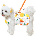 Cute Dog Dress Small Dog Clothes For Girls Female Puppy Outfits Yellow Lemon Pet Summer Clothes Bowknot Doggy Cat Princess Dress Harness for Holiday Birthday Party Costume Clothing (Yellow,XXL)