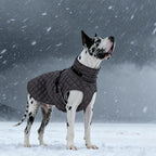 Kuoser Dog Coat Warm Fleece Lining Turtleneck Dog Jacket with Harness Built-in, Windproof Cold Weather Coats with Quick Release Buckle Pet Winter Snowsuit for Extra Large Dogs Great Dane, Grey 3XL