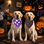 Halloween Dog Bandanas 2-Pack for Medium to Large Dogs - Reversible Ghost Pumpkin Print Scarf - Brown & Black for Costume Parties