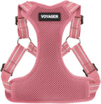 Best Pet Supplies Voyager Adjustable Step-in Flex Breathable Mesh Dog Harness for Small Medium Large Dogs (Pink), S