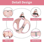 AMTOR Small Dog Harness with Leash Set, No Escape Easy Walk Puppy Harnesses for Training Walking, Step-in Reflective Soft Dogs Vest for XS S Medium Extra-Small Large Sized Dog(Pink,S)