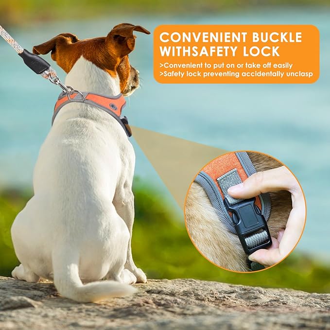 Dog Harness and Leash Set, No Pull Saddle Style Pet Harness, Breathable Mesh Adjustable Reflective Dog Vest for Dogs and Cat Medium Small Harness 2 D-Rings (Orange, XS)