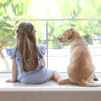 Window Sill Protector (4Inch x 33Ft) Cuttable Window Sill Protector,Door Protector from Dog Scratching, Protection from Dog and Cat Scratching, Chewing, Slobbering and Clawing on Window Sills