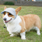 Dog Baseball Cap, Dog Cat Summer Beach Visor Hat with Ear Holes, Adjustable Puppy Sunbonnet Headdress (Blue, Large)