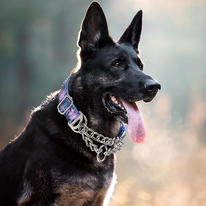 Martingale Dog Collar with Steel Chain, Reflective Choke Collar with Soft Padded- Adjustable No Pull with Bohemia Flower for Training Large Dogs Pet Collars for Walking（M