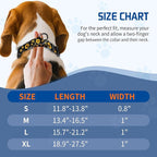 Kazazoo Martingale Collar for Dogs with Quick Release Buckle Adjustable Soft Durable Dog Collar for Small Medium Large No Pull Training Dog Collars-Black Sunflower M