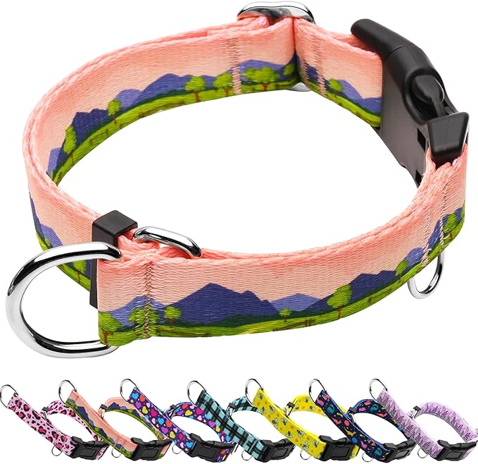 Martingale Collar for Dogs with Buckle No Pull Adjustable Nylon Limited Slip Training Dog Collars (Red Sunset, Medium)