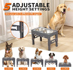 Elevated Dog Bowls with 2 Stainless Steel Bowls, 5-Height Adjustable Stand (3.1", 9" to 12"), for Improved Digestion & Neck Support, Easy Clean, Non-Slip Base Raised Feeder for Medium Large Dogs