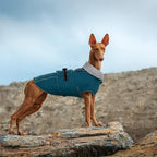 Lelepet Warm Dog Coats for Large Dogs Waterproof Dog Winter Jacket Reflective Pet Fleece Vest Windproof Cold Weather Coats with Adjustable Buckle & Leash Hole, Dark Green, XXL