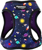 Downtown Pet Supply Step-in Dog Harness – No Pull, Adjustable Padded Mesh with Reflective Trim, Secure Buckle Strap – Comfortable & Breathable Small Dog Harness, XX-Small, Space