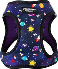 Downtown Pet Supply Step-in Dog Harness – No Pull, Adjustable Padded Mesh with Reflective Trim, Secure Buckle Strap – Comfortable & Breathable Small Dog Harness, Medium, Space