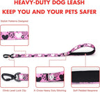 Martingale Collar and Leash Set, Premium No Slip Martingale Collar for Dogs Medium Large, Girl Dog Collars Training (NO19, L)