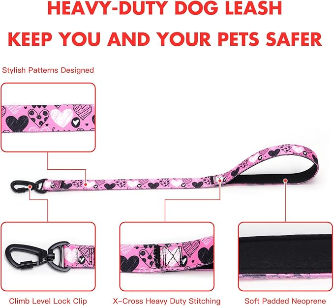 Martingale Collar and Leash Set, Premium No Slip Martingale Collar for Dogs Medium Large, Girl Dog Collars Training (NO21, M)