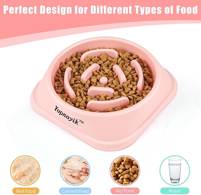 2 Pack Slow Feeder Dog Bowls for Healthy Eating, Non-Slip and Anti-Choking Design, Reduces Bloating & Overeating for Medium Dogs and Cats, Easy to Clean