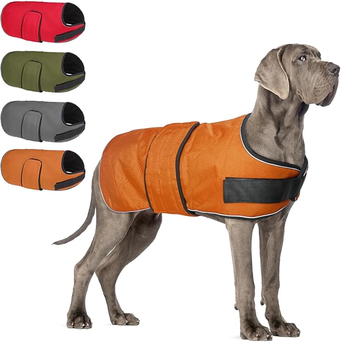 BEAUTYZOO Dog Winter Coat for Large Dogs Waterproof, Warm Reflective Great Dane Oxford Canvas Jacket, Fleece Dog Cold Weather Coats Windproof for Female Male Dogs, Orange L
