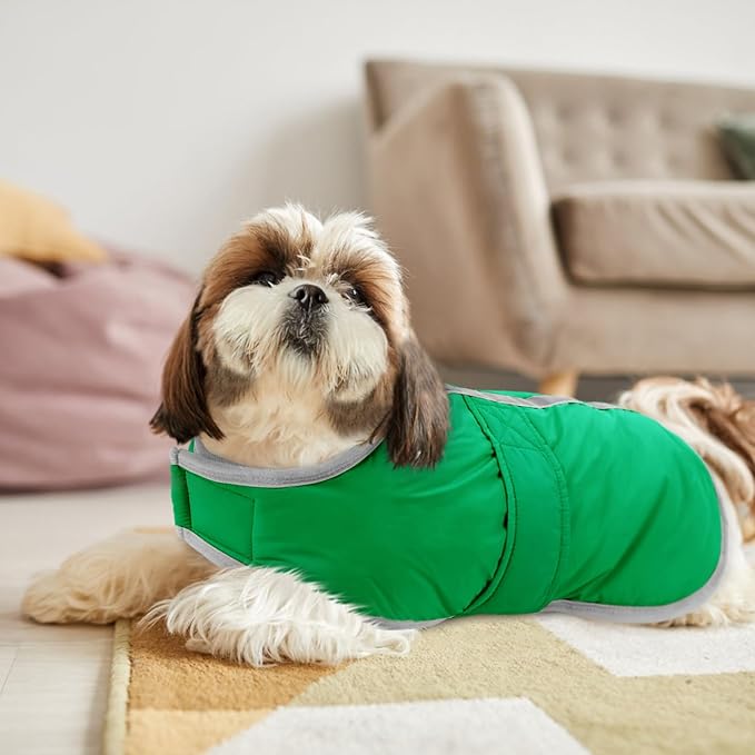 Queenmore Dog Winter Coat, Cold Weather Fleece Jacket for Dogs, Waterproof Reflective Reversible, for Small, Medium and Large Dogs (Green, L)