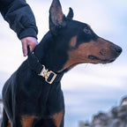 EXCELLENT ELITE SPANKER Tactical Dog Collar Military Adjustable Heavy Duty Training Dog Collar with Metal Buckle and Control Handle(Coyote Brown)