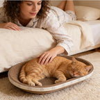 Càt Scràtcher Cardboard, Raised Edge Design, 1 Piece, Large Cat Scratcher Cardboard, Oval Indoor Cat Scratcher Bed, Blends with Home Decor, for Small Large Kitten Play Sleep Outdoor Home Living Room